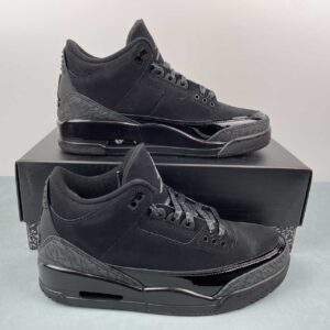 Air Jordan 3 Black Cat