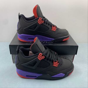Air Jordan 4 "Raptors"