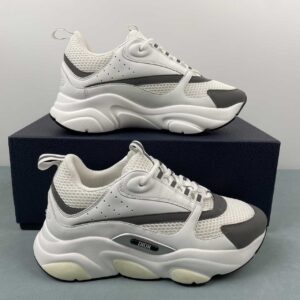 Dior B22 “White/Grey”