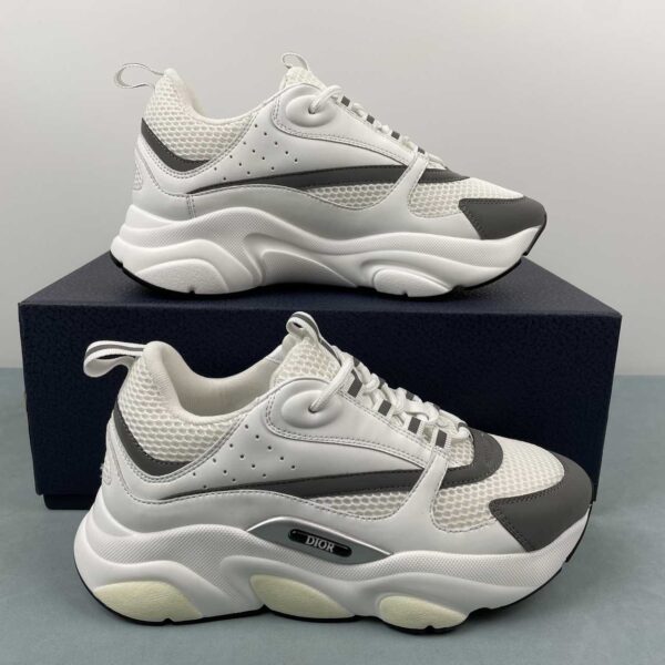 Dior B22 “White/Grey”