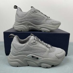 Dior B22 “Grey”