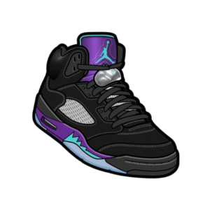 AIR JORDAN 5