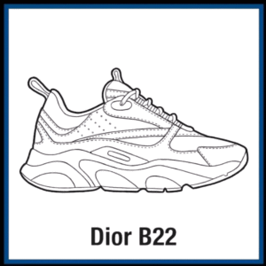 DIOR B22
